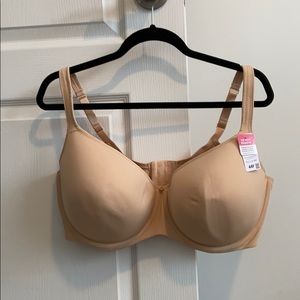 44F Bra